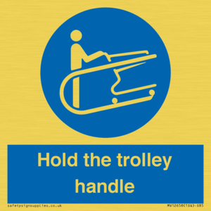 MV12658: Hold the trolley handle