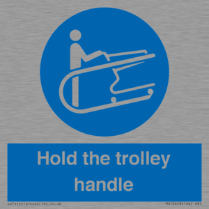 MV12658: Hold the trolley handle