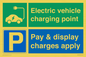 MV15343: EV Charging Point Pay and Display