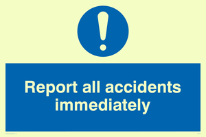 MV313: report all accidents immediately