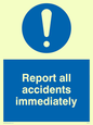 MV313: report all accidents immediately