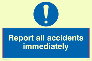 MV313: report all accidents immediately
