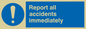 MV313: report all accidents immediately