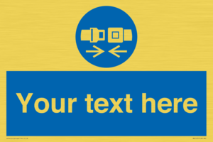 MV5107: Custom Seatbelts Sign