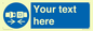 MV5107: Custom Seatbelts Sign
