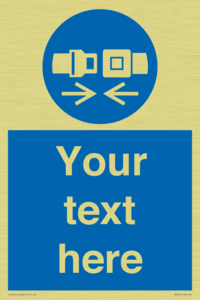 MV5107: Custom Seatbelts Sign