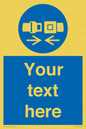 MV5107: Custom Seatbelts Sign