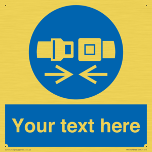 MV5107: Custom Seatbelts Sign