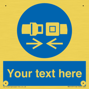 MV5107: Custom Seatbelts Sign