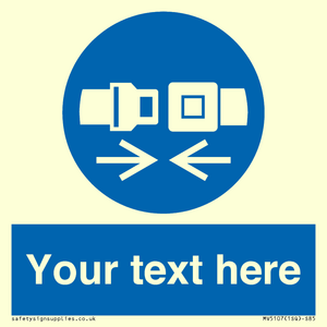 MV5107: Custom Seatbelts Sign