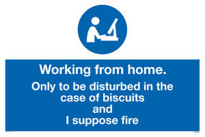MV6022: Working from home. Only to be disturbed in the case of biscuits and I suppose fire