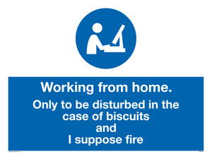 MV6022: Working from home. Only to be disturbed in the case of biscuits and I suppose fire