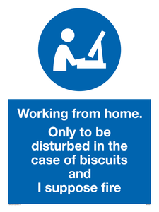 MV6022: Working from home. Only to be disturbed in the case of biscuits and I suppose fire