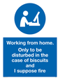 MV6022: Working from home. Only to be disturbed in the case of biscuits and I suppose fire