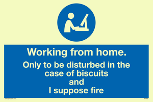 MV6022: Working from home. Only to be disturbed in the case of biscuits and I suppose fire