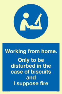 MV6022: Working from home. Only to be disturbed in the case of biscuits and I suppose fire