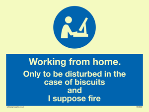 MV6022: Working from home. Only to be disturbed in the case of biscuits and I suppose fire