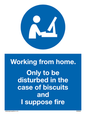 MV6022: Working from home. Only to be disturbed in the case of biscuits and I suppose fire