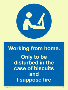 MV6022: Working from home. Only to be disturbed in the case of biscuits and I suppose fire
