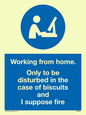 MV6022: Working from home. Only to be disturbed in the case of biscuits and I suppose fire