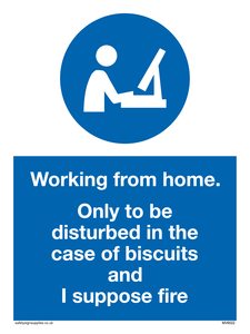MV6022: Working from home. Only to be disturbed in the case of biscuits and I suppose fire