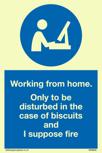 MV6022: Working from home. Only to be disturbed in the case of biscuits and I suppose fire