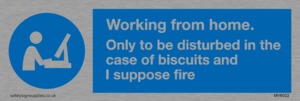 MV6022: Working from home. Only to be disturbed in the case of biscuits and I suppose fire