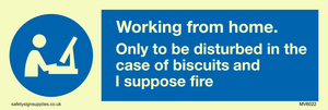 MV6022: Working from home. Only to be disturbed in the case of biscuits and I suppose fire