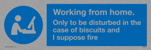 MV6022: Working from home. Only to be disturbed in the case of biscuits and I suppose fire
