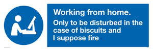 MV6022: Working from home. Only to be disturbed in the case of biscuits and I suppose fire