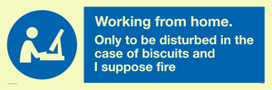 MV6022: Working from home. Only to be disturbed in the case of biscuits and I suppose fire