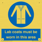 MV7841: Lab coats must be worn in this area