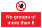 PA6247: No groups of more than 6