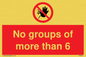 PA6247: No groups of more than 6