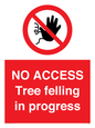 PA6300: NO ACCESS Tree felling in progress