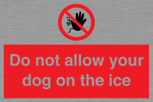 PA6312: Do not allow your dog on the ice