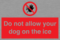 PA6312: Do not allow your dog on the ice