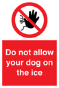 PA6312: Do not allow your dog on the ice