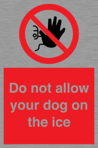 PA6312: Do not allow your dog on the ice