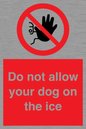 PA6312: Do not allow your dog on the ice