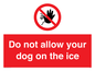 PA6312: Do not allow your dog on the ice