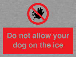 PA6312: Do not allow your dog on the ice