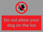 PA6312: Do not allow your dog on the ice