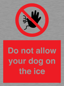 PA6312: Do not allow your dog on the ice