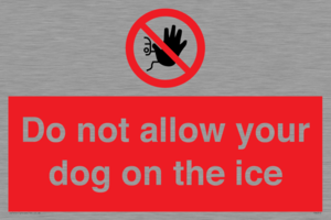 PA6312: Do not allow your dog on the ice