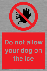 PA6312: Do not allow your dog on the ice