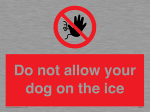 PA6312: Do not allow your dog on the ice
