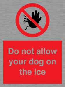 PA6312: Do not allow your dog on the ice
