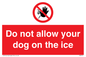 PA6312: Do not allow your dog on the ice
