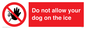 PA6312: Do not allow your dog on the ice
